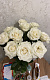 p*******3@mail.ru